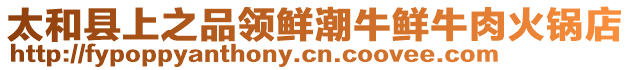 太和縣上之品領(lǐng)鮮潮牛鮮牛肉火鍋店