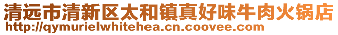 清遠市清新區太和鎮真好味牛肉火鍋店