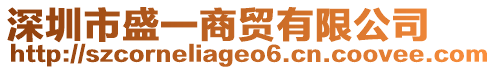 深圳市盛一商貿有限公司