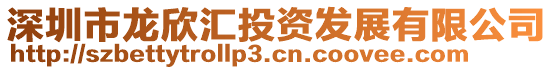 深圳市龍欣匯投資發展有限公司