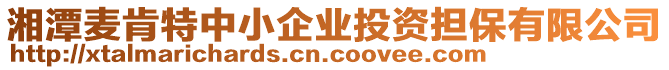 湘潭麥肯特中小企業(yè)投資擔(dān)保有限公司