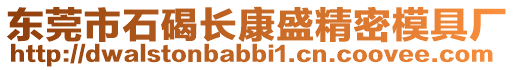 東莞市石碣長康盛精密模具廠