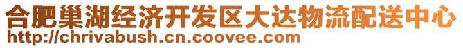 合肥巢湖經(jīng)濟(jì)開(kāi)發(fā)區(qū)大達(dá)物流配送中心