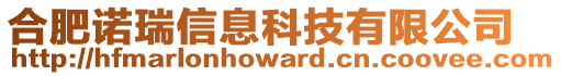 合肥諾瑞信息科技有限公司