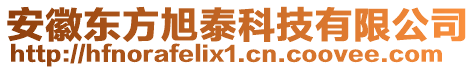 安徽東方旭泰科技有限公司