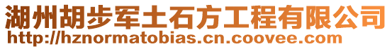 湖州胡步軍土石方工程有限公司