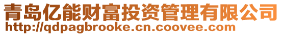 青島億能財富投資管理有限公司