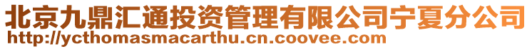 北京九鼎匯通投資管理有限公司寧夏分公司