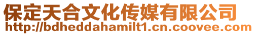 保定天合文化傳媒有限公司