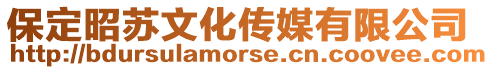 保定昭蘇文化傳媒有限公司