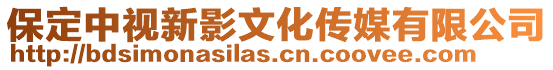 保定中視新影文化傳媒有限公司