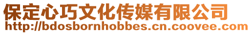 保定心巧文化傳媒有限公司