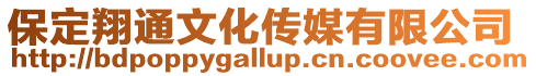 保定翔通文化傳媒有限公司