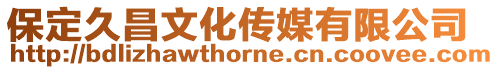 保定久昌文化傳媒有限公司