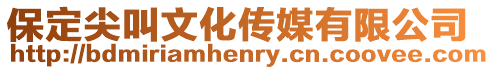 保定尖叫文化傳媒有限公司