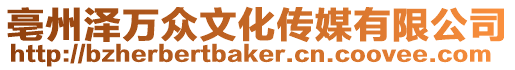 亳州澤萬眾文化傳媒有限公司