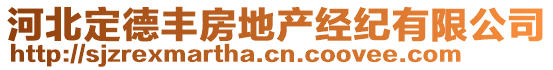 河北定德豐房地產(chǎn)經(jīng)紀(jì)有限公司