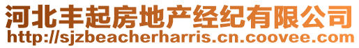 河北豐起房地產(chǎn)經(jīng)紀(jì)有限公司