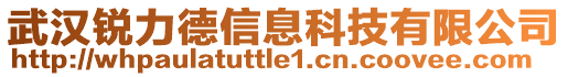 武漢銳力德信息科技有限公司