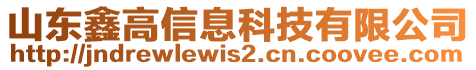 山東鑫高信息科技有限公司