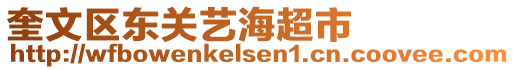 奎文區(qū)東關(guān)藝海超市