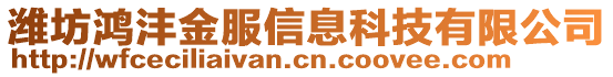 濰坊鴻灃金服信息科技有限公司