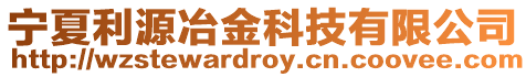 寧夏利源冶金科技有限公司