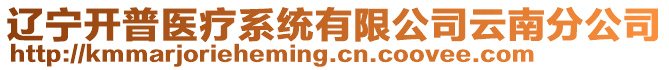 遼寧開普醫(yī)療系統(tǒng)有限公司云南分公司