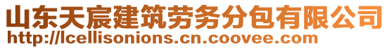 山东天宸建筑劳务分包有限公司