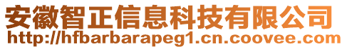 安徽智正信息科技有限公司