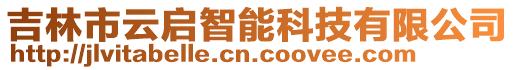 吉林市云啟智能科技有限公司