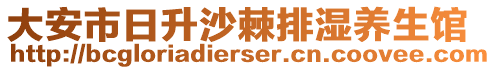 大安市日升沙棘排湿养生馆