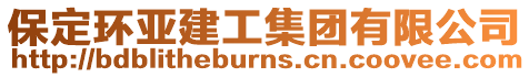 保定環(huán)亞建工集團(tuán)有限公司