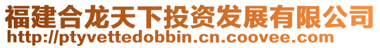 福建合龍?zhí)煜峦顿Y發(fā)展有限公司