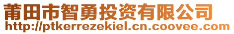 莆田市智勇投資有限公司