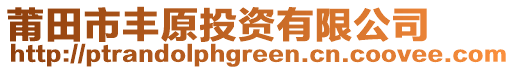 莆田市豐原投資有限公司