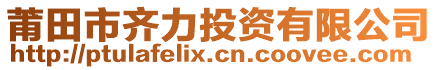 莆田市齊力投資有限公司