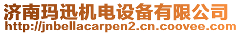 濟南瑪迅機電設備有限公司