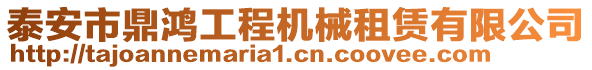 泰安市鼎鴻工程機(jī)械租賃有限公司