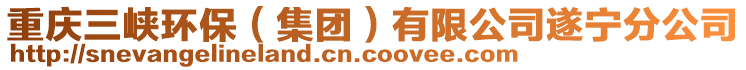 重慶三峽環(huán)保（集團(tuán)）有限公司遂寧分公司