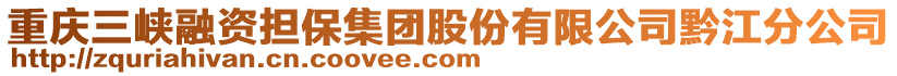 重慶三峽融資擔(dān)保集團(tuán)股份有限公司黔江分公司