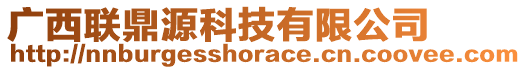 廣西聯(lián)鼎源科技有限公司