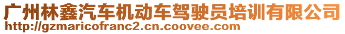 廣州林鑫汽車機動車駕駛員培訓(xùn)有限公司