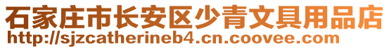 石家莊市長安區(qū)少青文具用品店