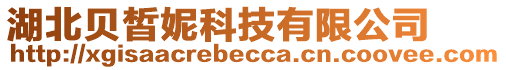 湖北貝皙妮科技有限公司