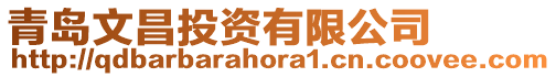 青島文昌投資有限公司