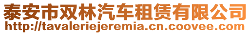 泰安市雙林汽車租賃有限公司