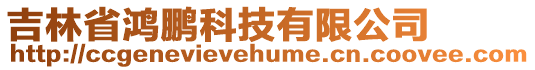 吉林省鴻鵬科技有限公司