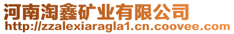 河南淘鑫礦業(yè)有限公司