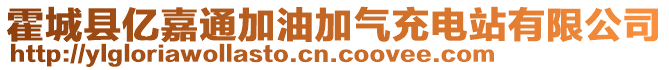 霍城縣億嘉通加油加氣充電站有限公司